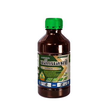 Re-แอ็กแลมป์-PET-1000-มล-AG-ปี67